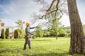 Best Emergency Tree Removal  in Houserville, PA