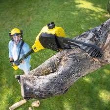 Best Lawn Pest Prevention  in Houserville, PA